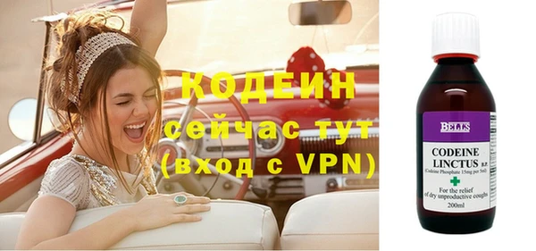 прущие грибы Абаза