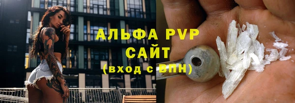 прущие грибы Абаза