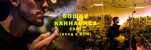 прущие грибы Абаза