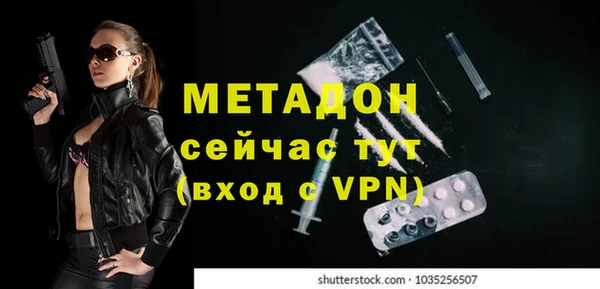 прущие грибы Абаза