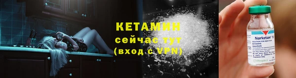 прущие грибы Абаза