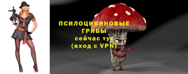 2c-b Абдулино