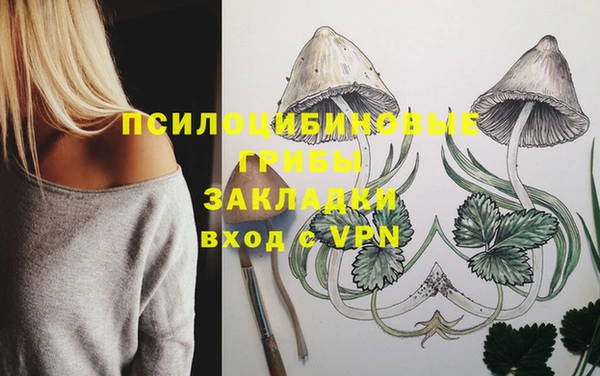 прущие грибы Абаза