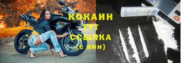 прущие грибы Абаза