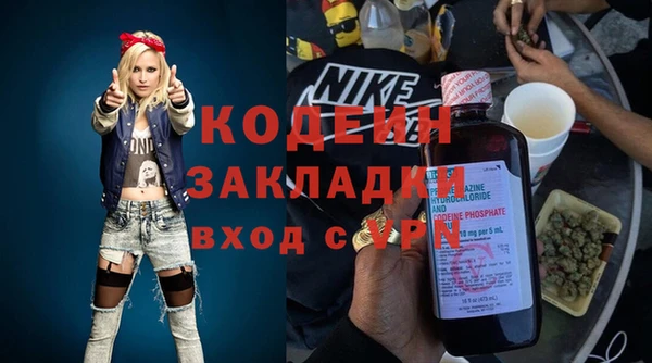 прущие грибы Абаза