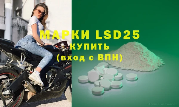 прущие грибы Абаза