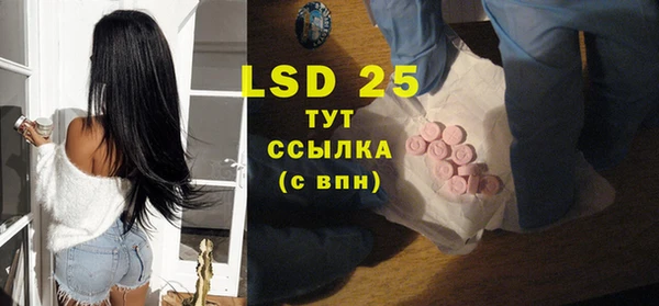 прущие грибы Абаза