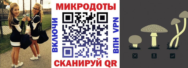 MEGA вход  Новое Девяткино  Псилоцибиновые грибы MAGIC MUSHROOMS 